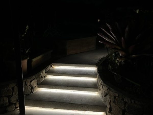 IMG_0029