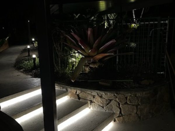 IMG_0030 IMG_0030